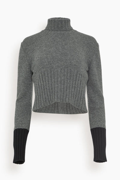 Long Sleeve Turtleneck Knit in Pewter Grey Black