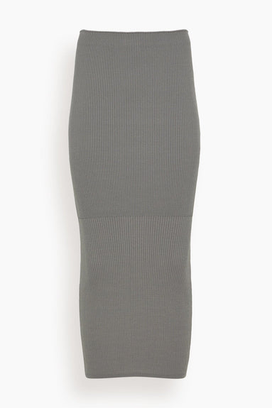 Solid & Striped Skirts Zelda Midi Skirt in Smoke Solid & Striped Zelda Midi Skirt in Smoke