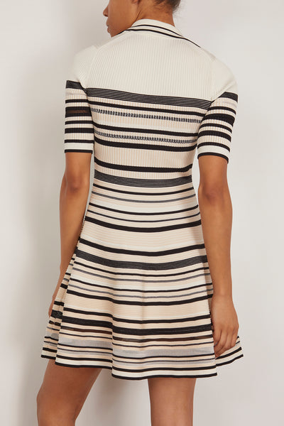 Dessie Mini Dress in Black Stripe